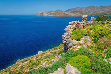 Fototapeta na wymiar Greek sea bay with grass and bushes, Greece