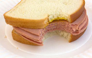 Bitten bologna sandwich on paper plate