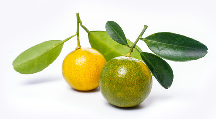 Fresh orange isolated on white background