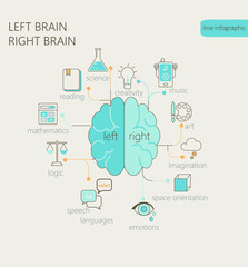 Brain left analytical and right creative hemispheres infographics liner style set vector illustration