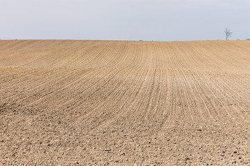Acker in Gro&szlig; Buchwald