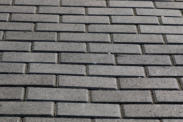 path of paving curves