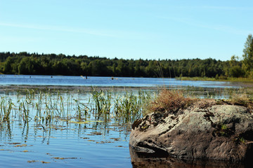 landscape stone on the lake