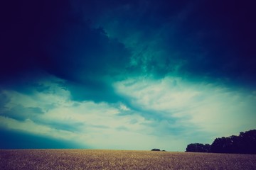 Vintage photo of storm clouds over wheat field © milosz_g