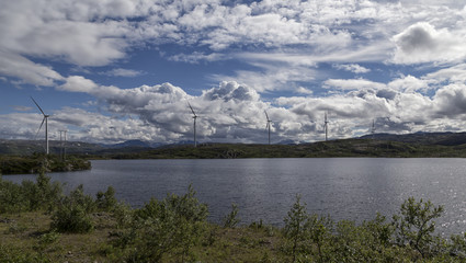Fototapeta na wymiar A group of wind turbines behind a lake on a cloudy sky