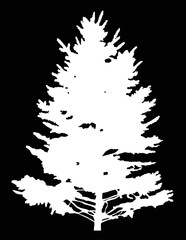 fir tree isolated white silhouette illustration
