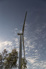 A wind turbine and some trees on a blue sky