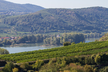 Obraz premium Wachau w lecie