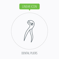 Dental pliers icon. Stomatological forceps tool.