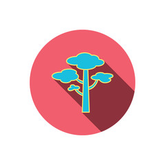Pine tree icon. Forest wood sign.