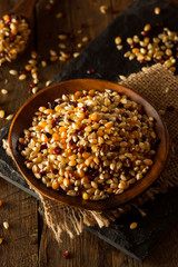 Raw Organic Multi Colored Calico Popcorn