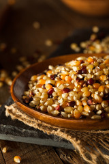 Raw Organic Multi Colored Calico Popcorn