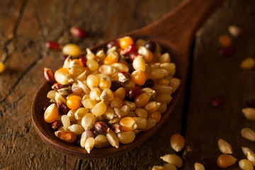 Raw Organic Multi Colored Calico Popcorn