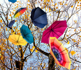 Lebensfreude: Fliegende, bunte Schirme über Pfälzer Herbstlandschaft :)