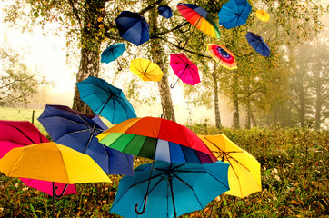 Lebensfreude: Fliegende, bunte Schirme über Pfälzer Herbstlandschaft :)