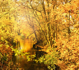 Fototapeta na wymiar Wonderful day in autumn at a silent, idyllic stream :)