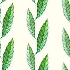 Naklejka na ściany i meble Vector illustration with tropical leaves. 