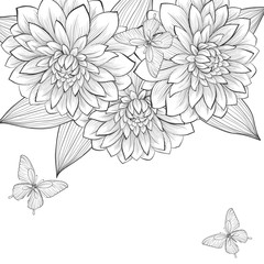 beautiful monochrome black and white background with frame of dahlia flowers and butterflies