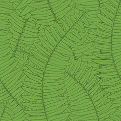 Beautiful seamless background with fern leaves