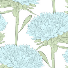 Beautiful seamless background with blue flowers aster on a white background