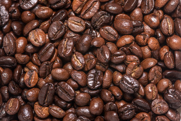 Fresh coffee beans.