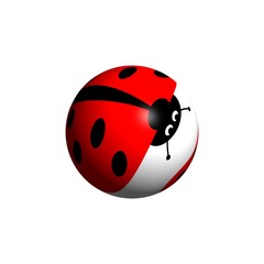Ladybug Globe