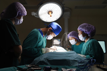 group of veterinarian surgery in operation room