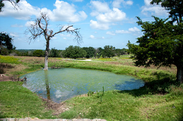 Pond in Glen Rose, TX 