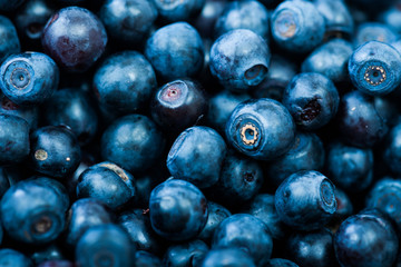 Blueberries as background
