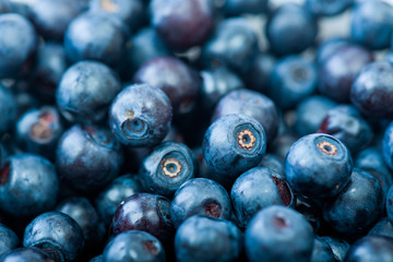 Blueberries as background