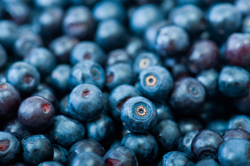 Blueberries as background