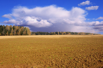Broad is my native land/ Plowed field in late summer, Moscow region, Russia.