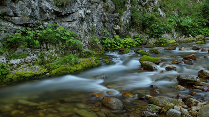 górski strumień / płynący pod skalna ściana doliny © Rafał Okraj