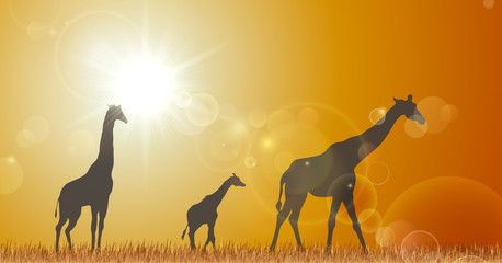 Giraffe under Sunset