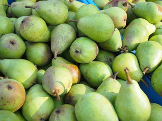 Pile of fresh green pears at farmers market. 