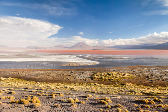 Laguna Colorada , Bolivia. Cielo blu con nuvole bianche, vulcano sullo sfondo