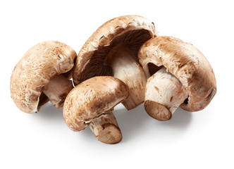 Champignon mushrooms