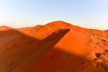 Namib Sand Sea - Namibia