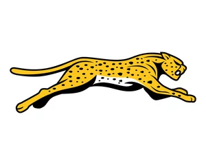 Foto op Plexiglas cheetahs run © vector_factory
