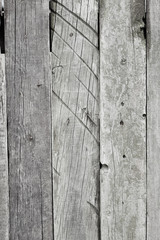 Wood texture
