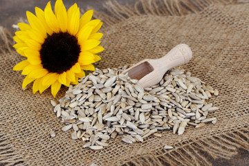 Sonnenblumenkerne