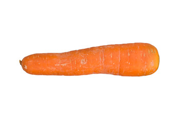 carrot isolated on white