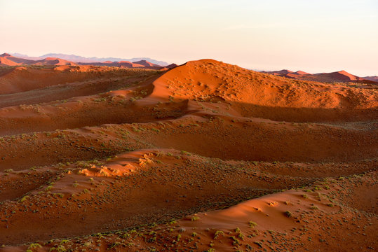 Namib Sand Sea - Namibia