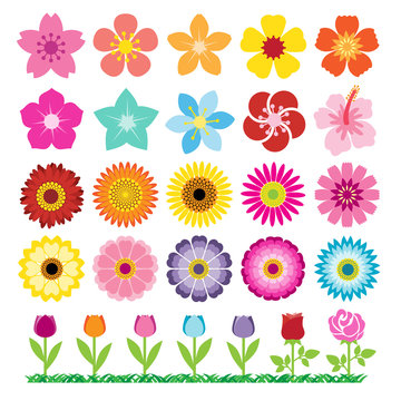 Set of Flowers Icons