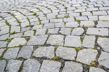 A tile walk in the city centre with a little of grass.