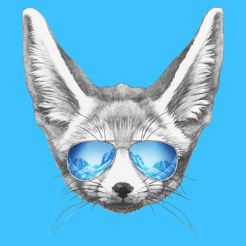 Portrait of Fennec Fox with mirror sunglasses. Hand drawn illustration. 