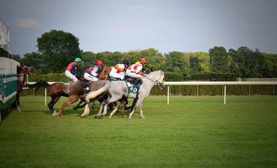 Arabian horse racing  warsaw