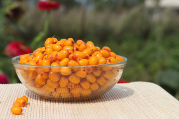 Sea-buckthorn in a glass plate on a table in a garden