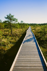 Wooden path on a Viru swamp in Estonia