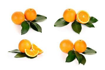 fresh orange on white background